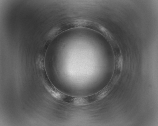 X0000074220766200608251129