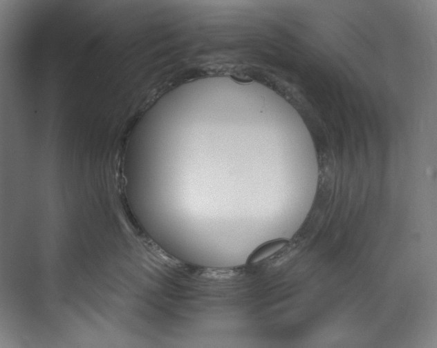 X0000074220767200608251129