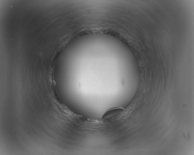 X0000074220768200608251129