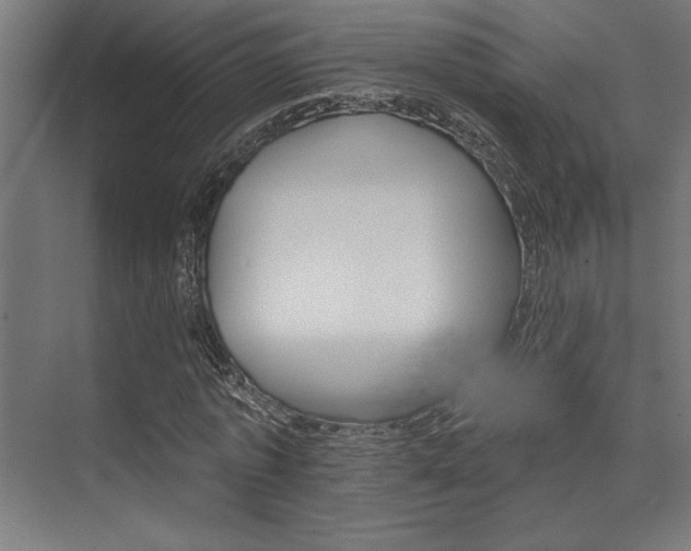 X0000074220773200608251128