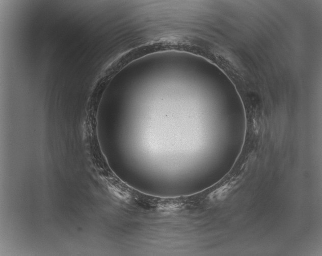 X0000074220776200608251128