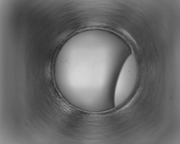X0000074220777200608251128