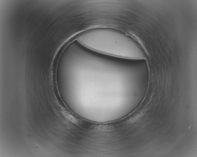 X0000074220779200608251128