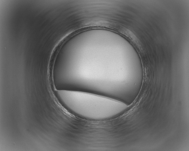 X0000074220780200608251128
