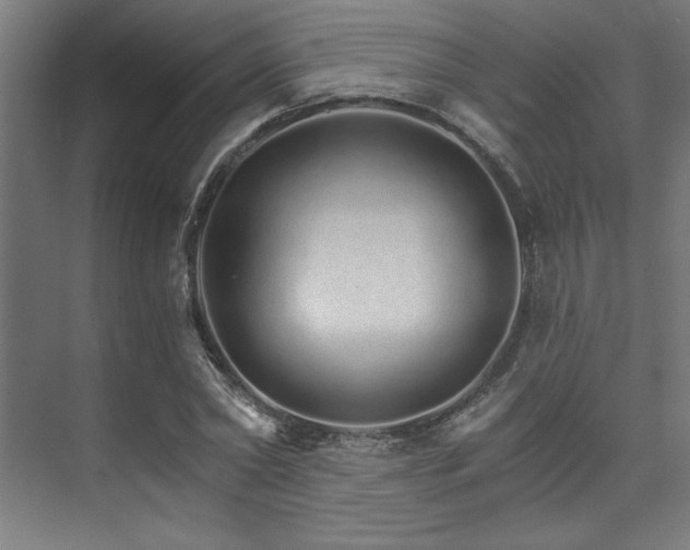X0000074220782200608251128