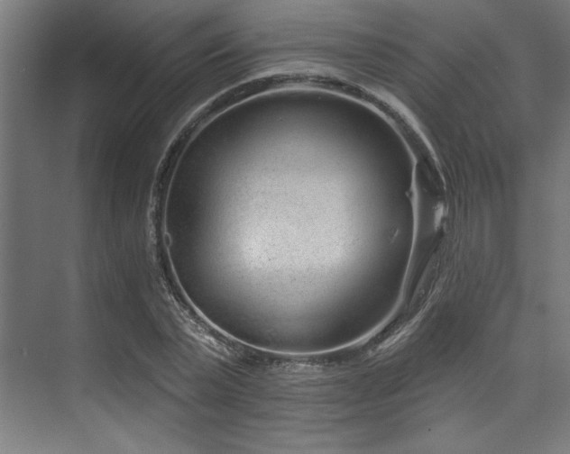 X0000074220783200608251128