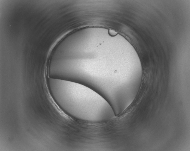 X0000074220804200608251127