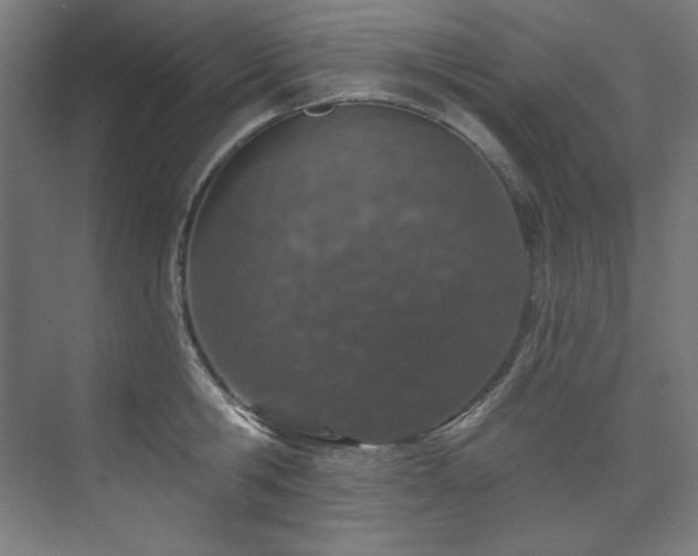 X0000074220806200608251127