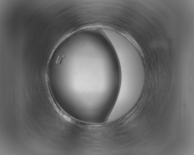 X0000074220813200608251127