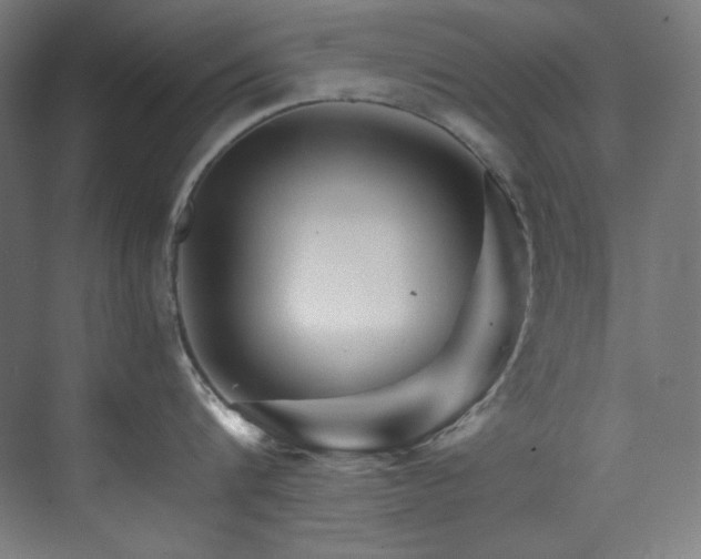 X0000074220816200608251127