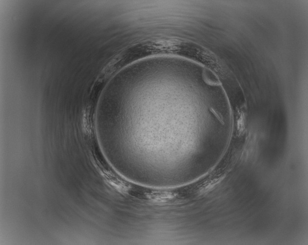 X0000074220819200608251126