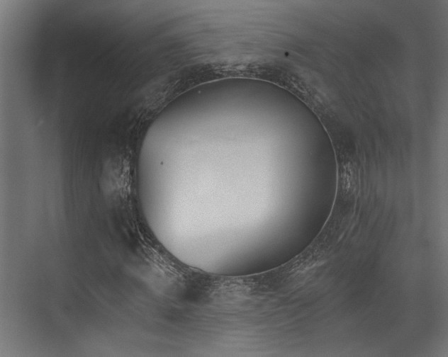 X0000074220820200608251126