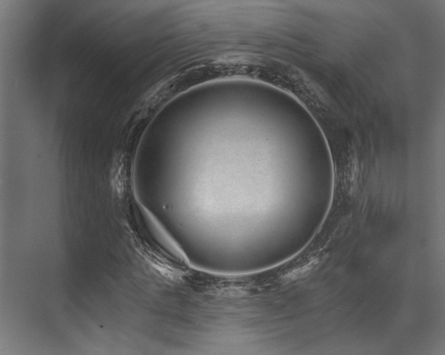 X0000074220821200608251126
