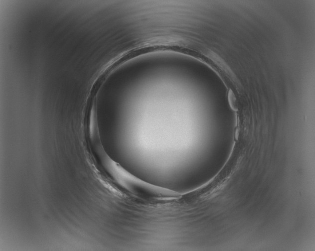 X0000074220834200608251127