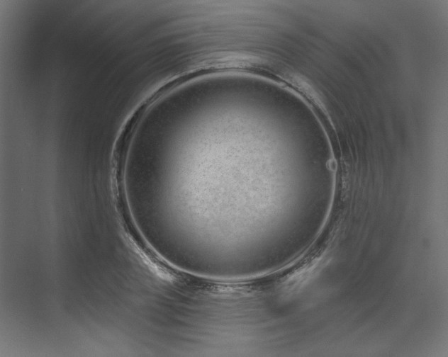 X0000074220835200608251127