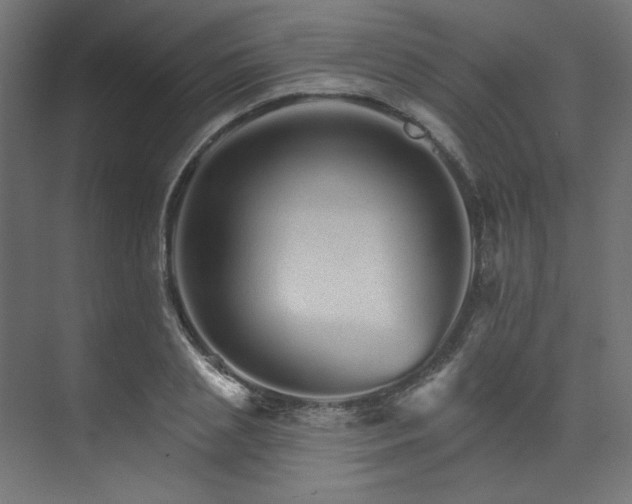 X0000074220837200608251127