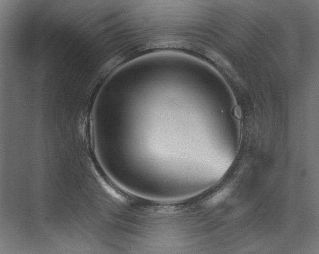 X0000074220841200608251127