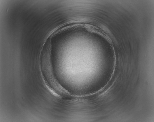 X0000074220842200608251127