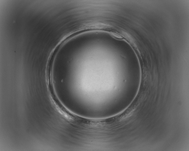 X0000074220843200608251127