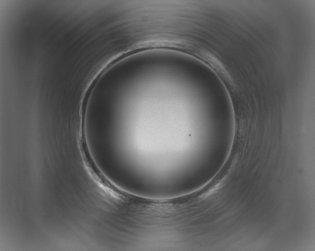 X0000074220844200608251127