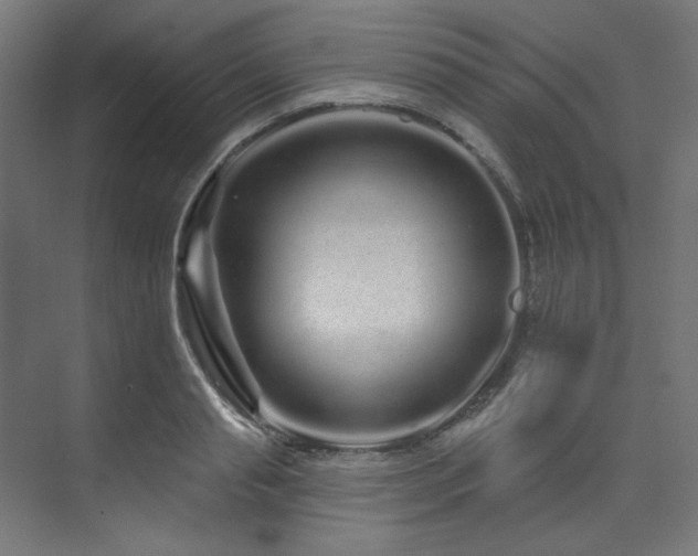 X0000074220845200608251127