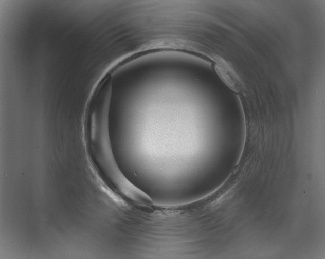 X0000074220846200608251127