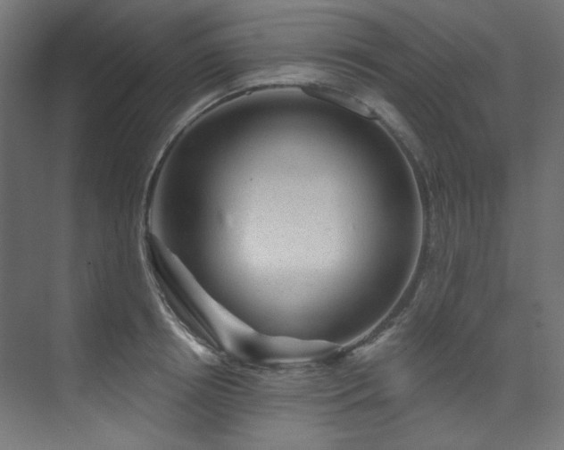 X0000074220850200608251127