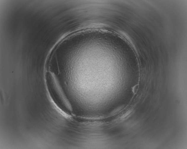 X0000074220851200608251127