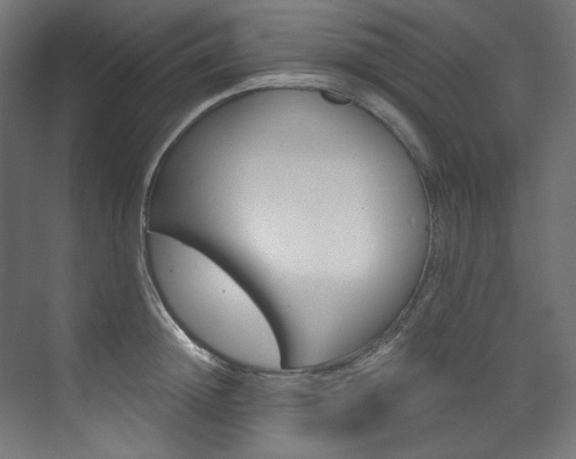 X0000074220852200608251127