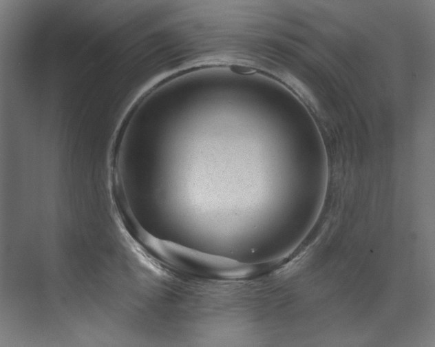 X0000074220854200608251127