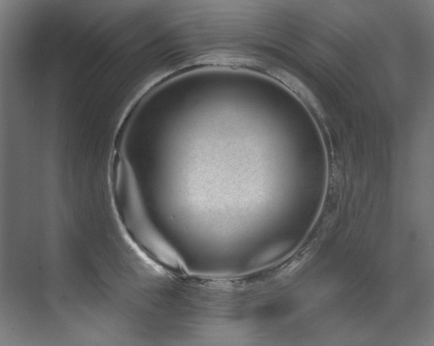 X0000074220855200608251127