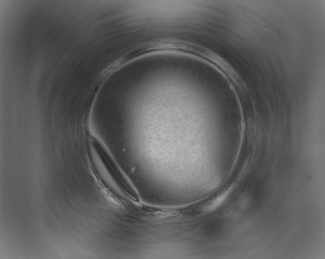 X0000074220857200608251127