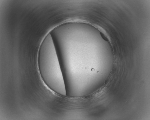 X0000074220863200608251127