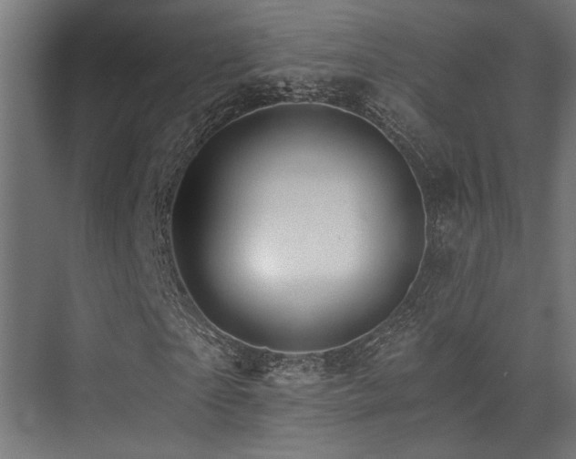 X0000074220865200608251126