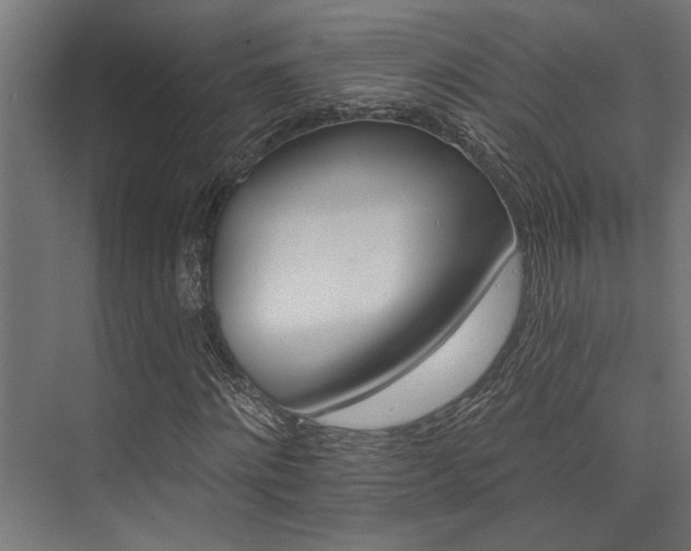 X0000074220868200608251126