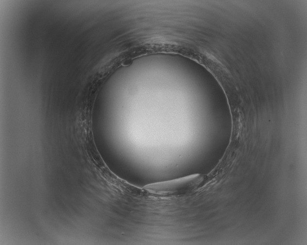 X0000074220870200608251126