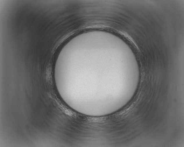 X0000074220874200608251126