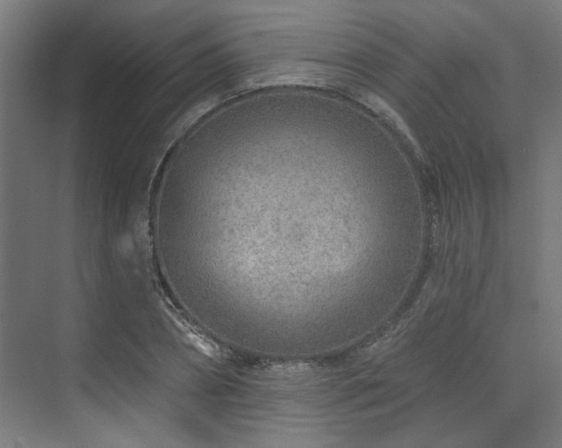 X0000074220882200608251126
