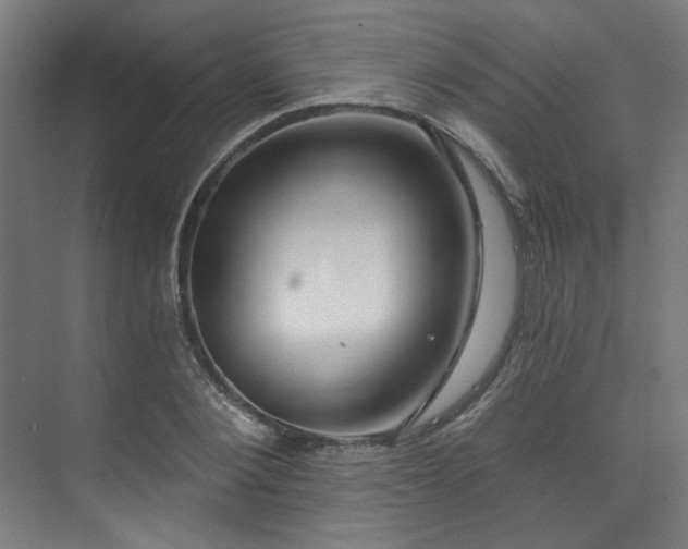X0000074220884200608251126