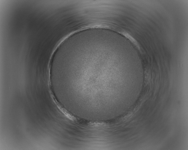 X0000074220886200608251126