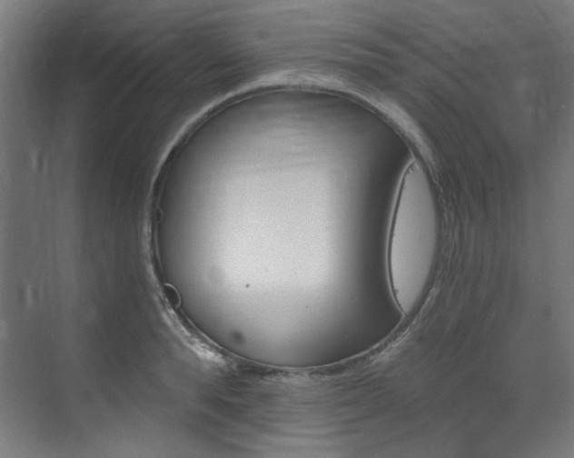 X0000074220896200608251126