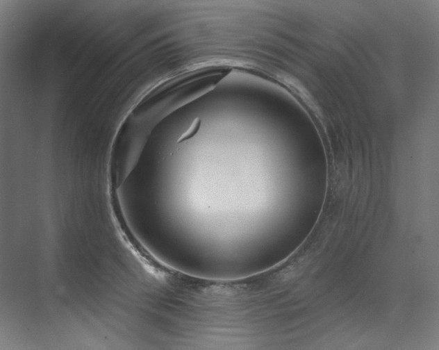X0000074220898200608251126