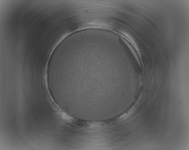 X0000074220899200608251126