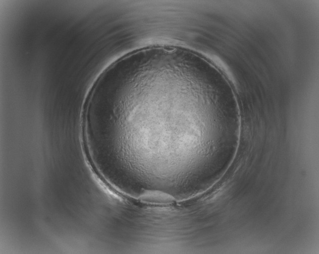 X0000074220903200608251126