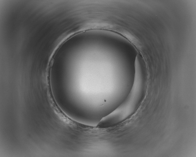 X0000074220912200608251125