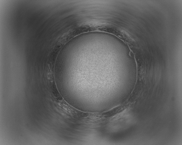 X0000074220917200608251125