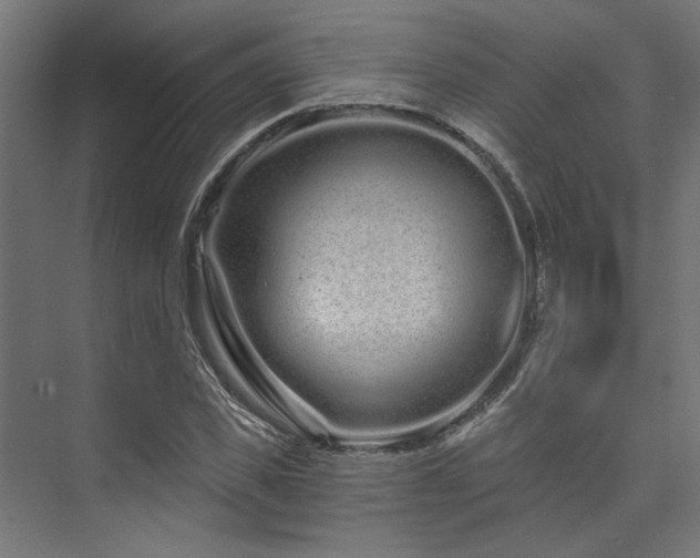 X0000074220925200608251125