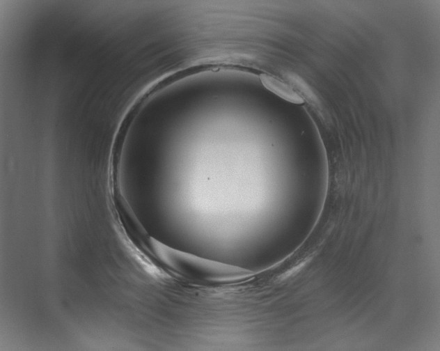 X0000074220940200608251125