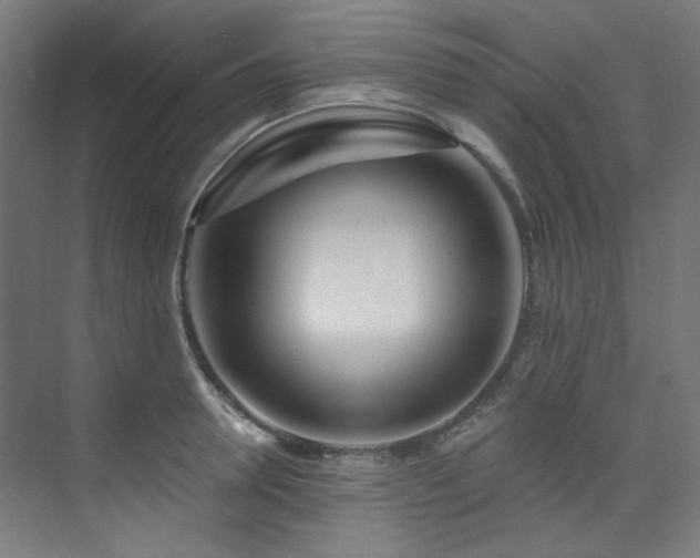 X0000074220946200608251125