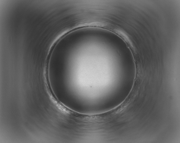 X0000074220952200608251125